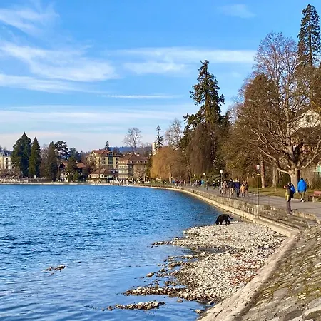 Lovely In A From 18th Century Apartmán Thun