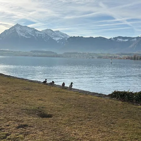 Lovely In A From 18th Century Appartamento