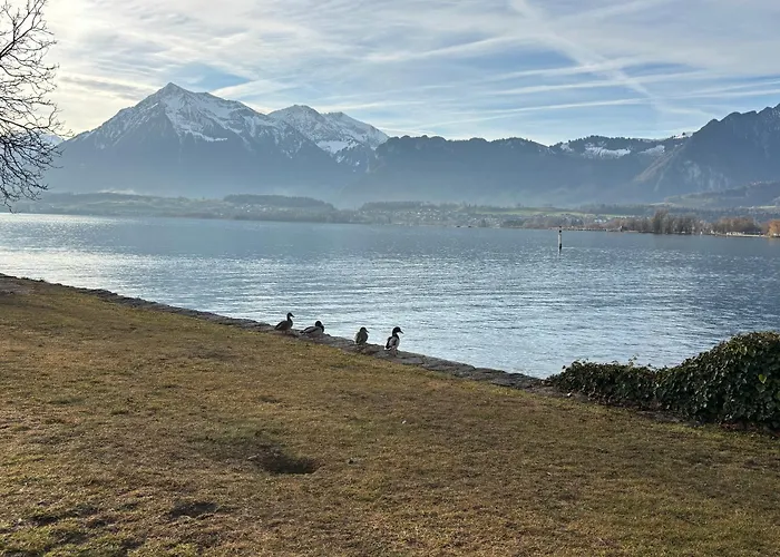 Lovely In A From 18th Century Appartamento